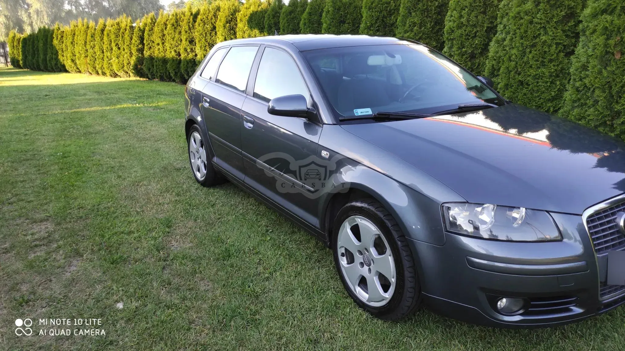 Audi A3 8P (2003-2012) 2.0 TDI Ambiente 2007