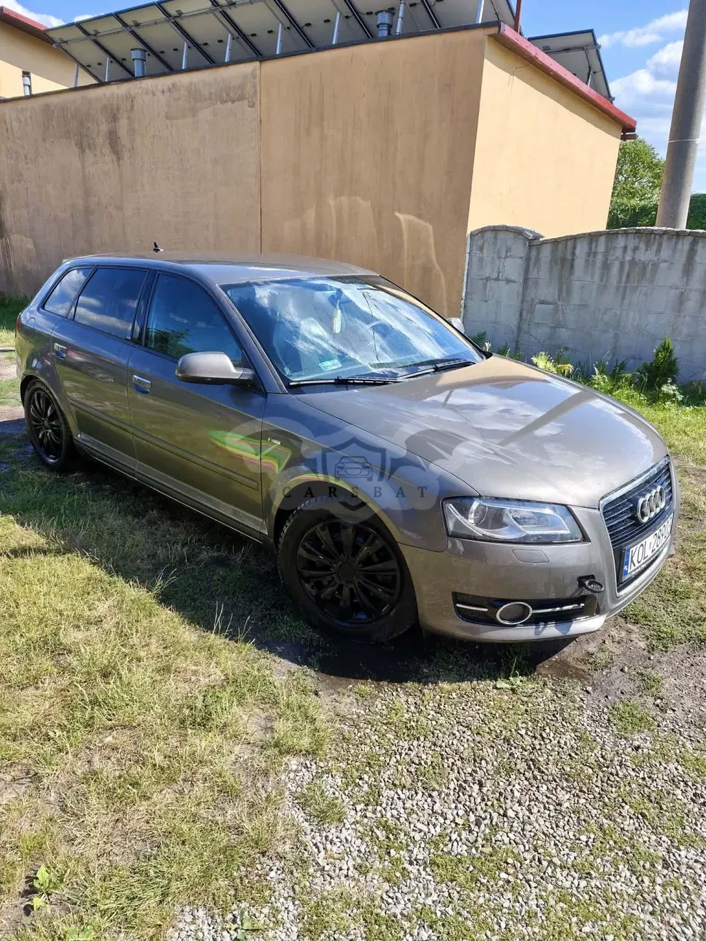 Audi A3 8P (2003-2012) 2010