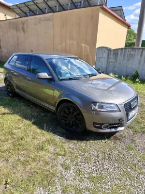 Audi A3 8P (2003-2012) 2010
