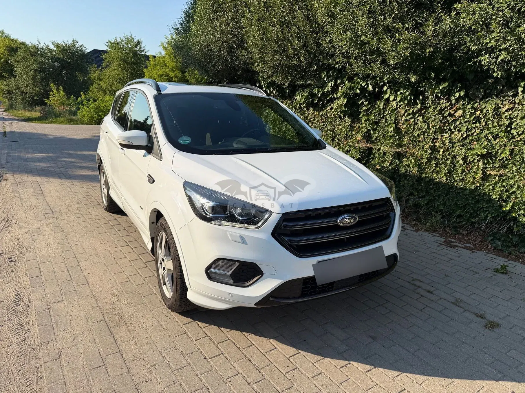 Ford Kuga III (2019 - ) 1.5 EcoBoost AWD ST-Line ASS 2019