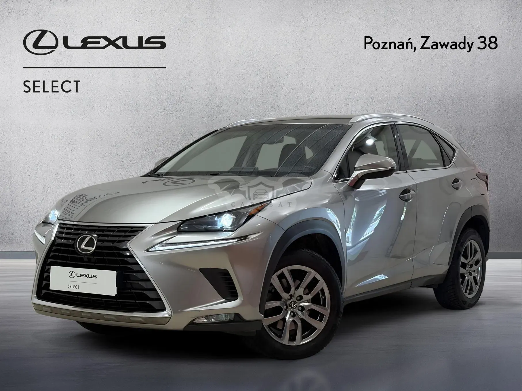 Lexus NX I (2014-2021) 300 Elegance Optimum AWD 2018