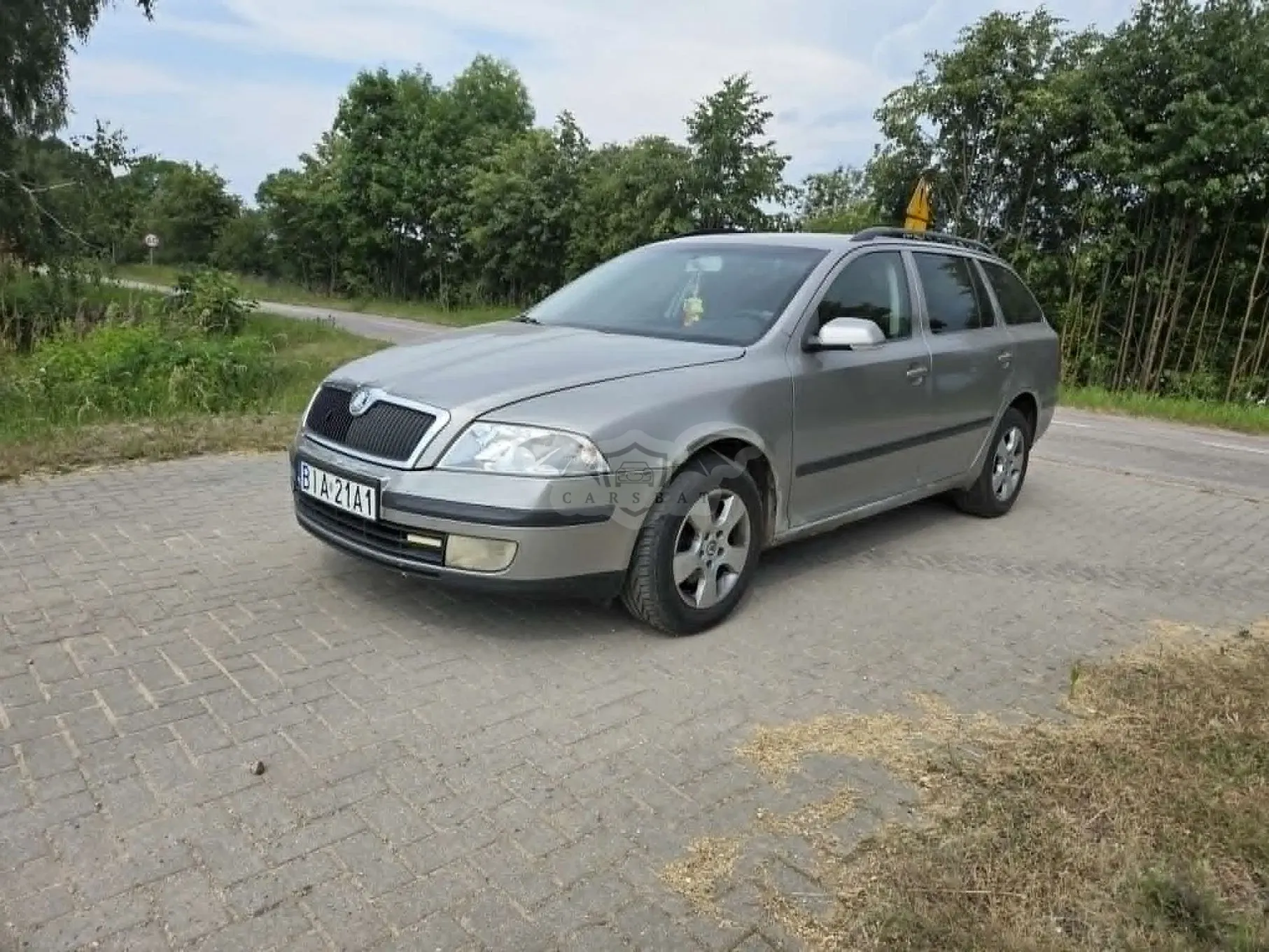 Skoda Octavia II (2004-2013) 1.9 TDI Elegance DSG 2008