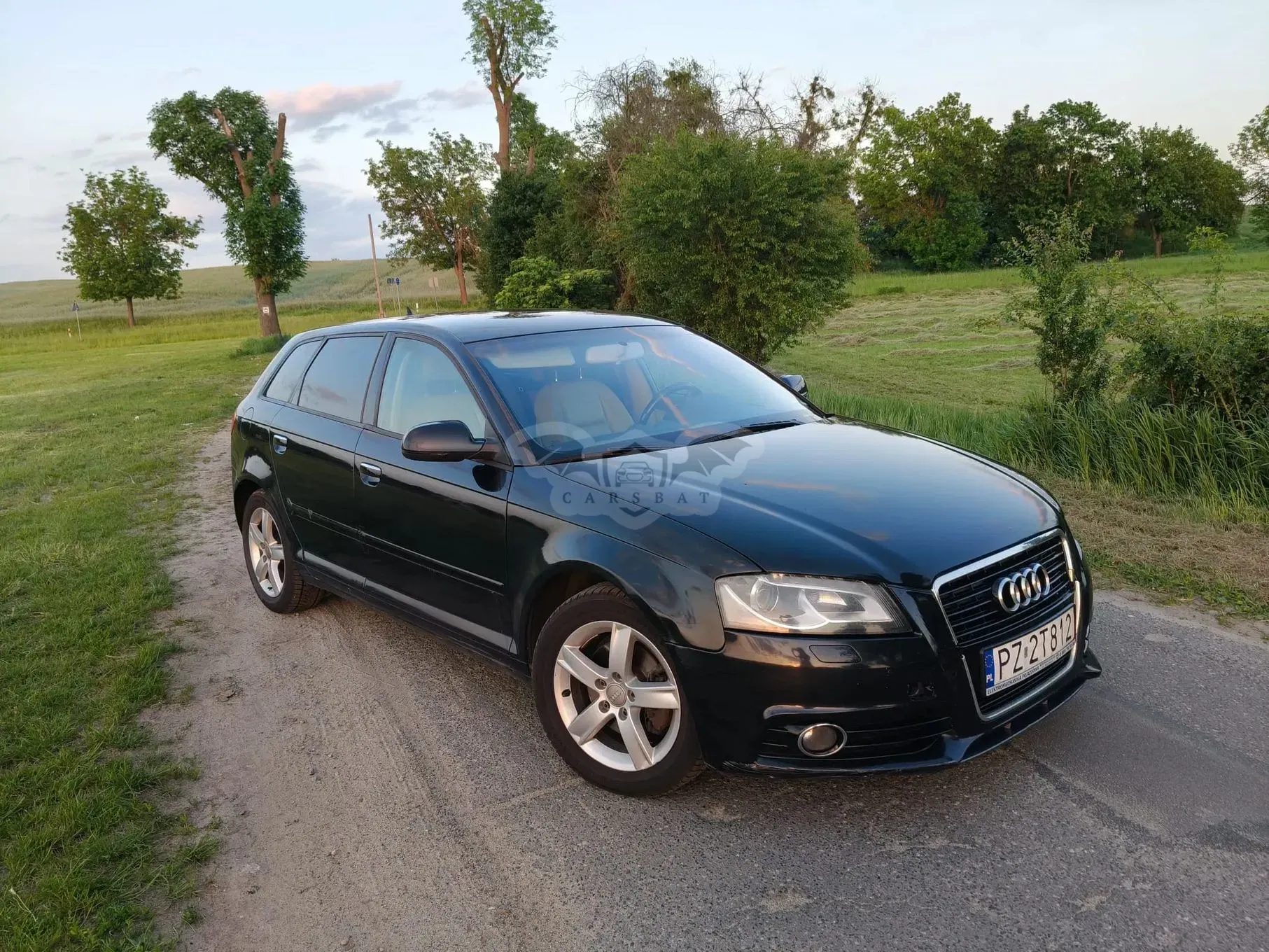Audi A3 8P (2003-2012) 1.4 TFSI S line Sportpaket (plus) 2011