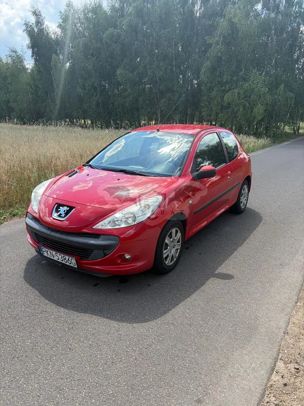 Peugeot 206 2010