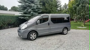 Opel Vivaro I (2001-2014) 2012