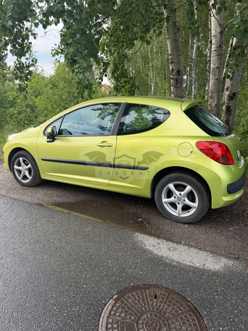 Peugeot 207 1.4 16V Presence 2007