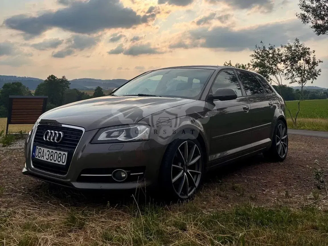Audi A3 8P (2003-2012) 2.0 TDI DPF Ambition S tronic 2012