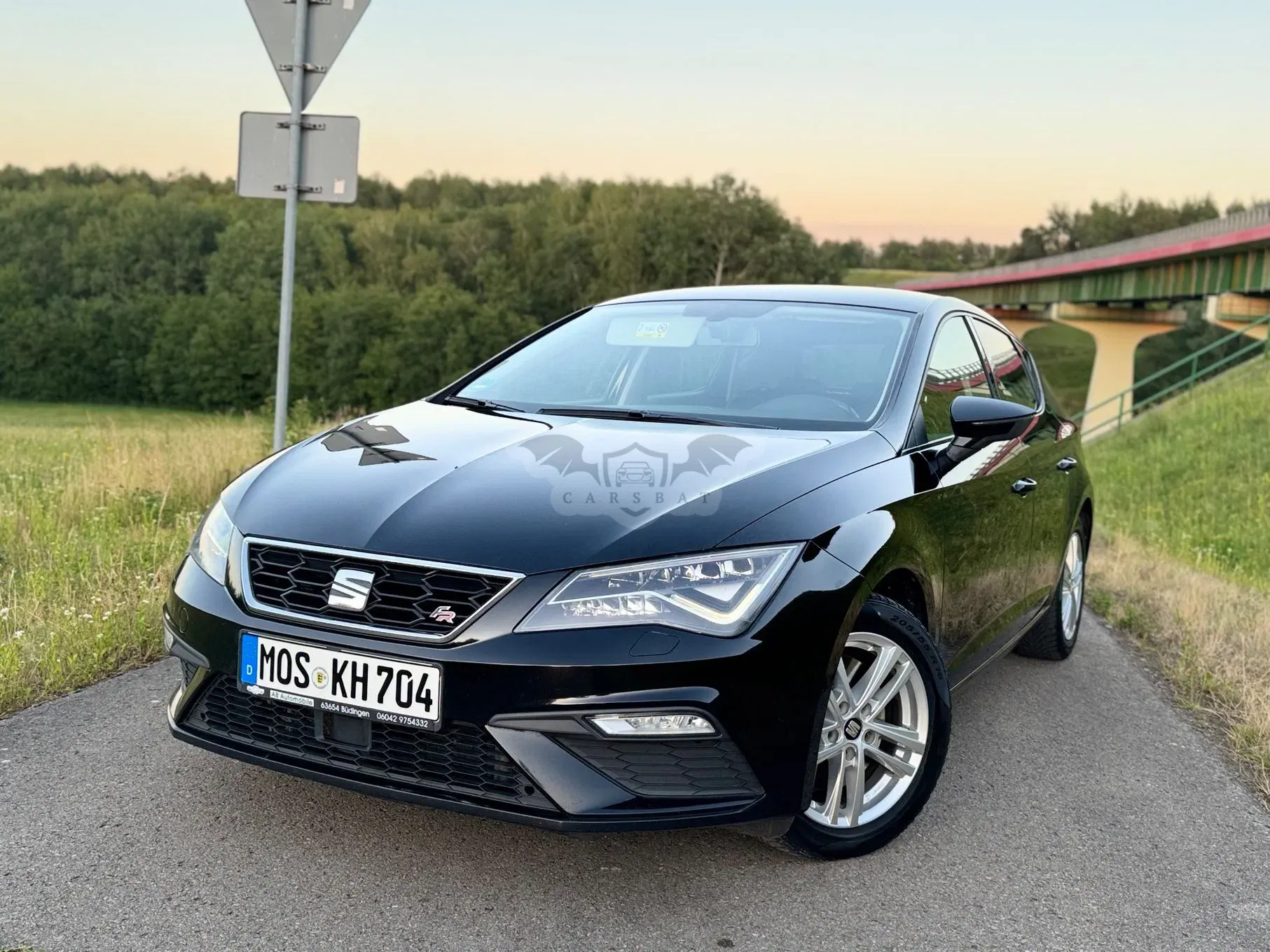 Seat Leon III (2012-) 2.0 TDI DPF Start&Stop FR 2017