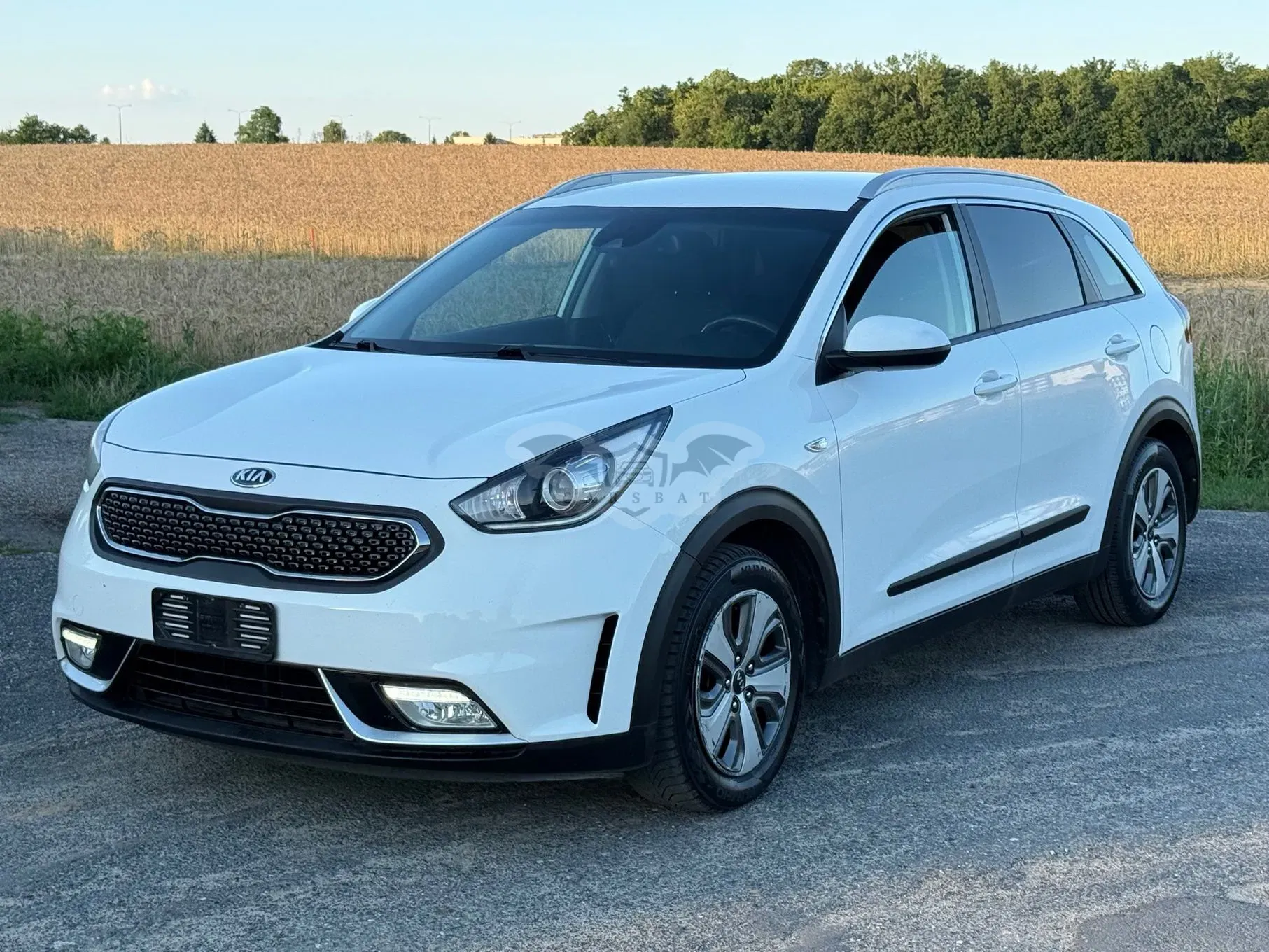 Kia Niro 1.6 GDI Hybrid L Business Line 2019