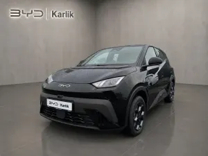 BYD Dolphin 2025