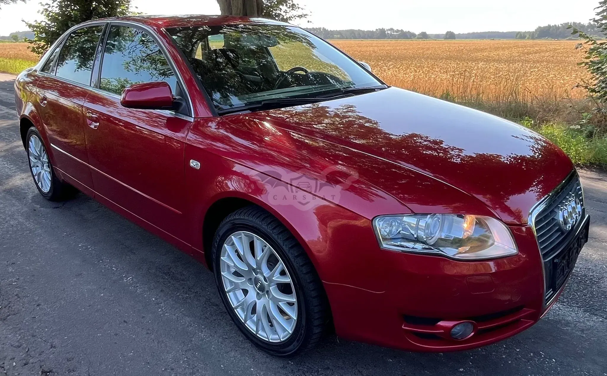 Audi A4 B7 (2004-2007) 2 2007