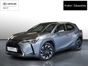 Lexus UX 2019