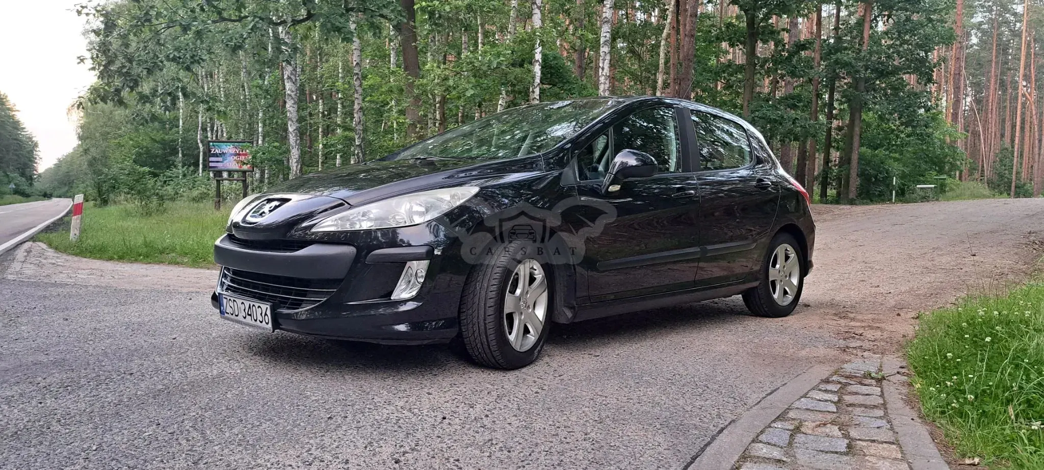 Peugeot 308 T7 (2008-2013) 1.4 Presence 2008
