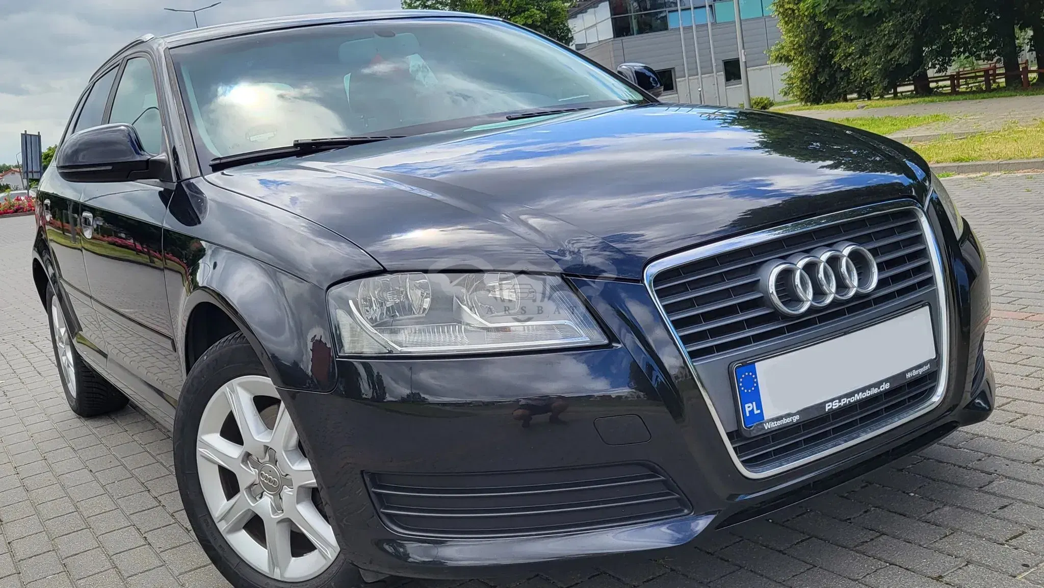 Audi A3 8P (2003-2012) 2009