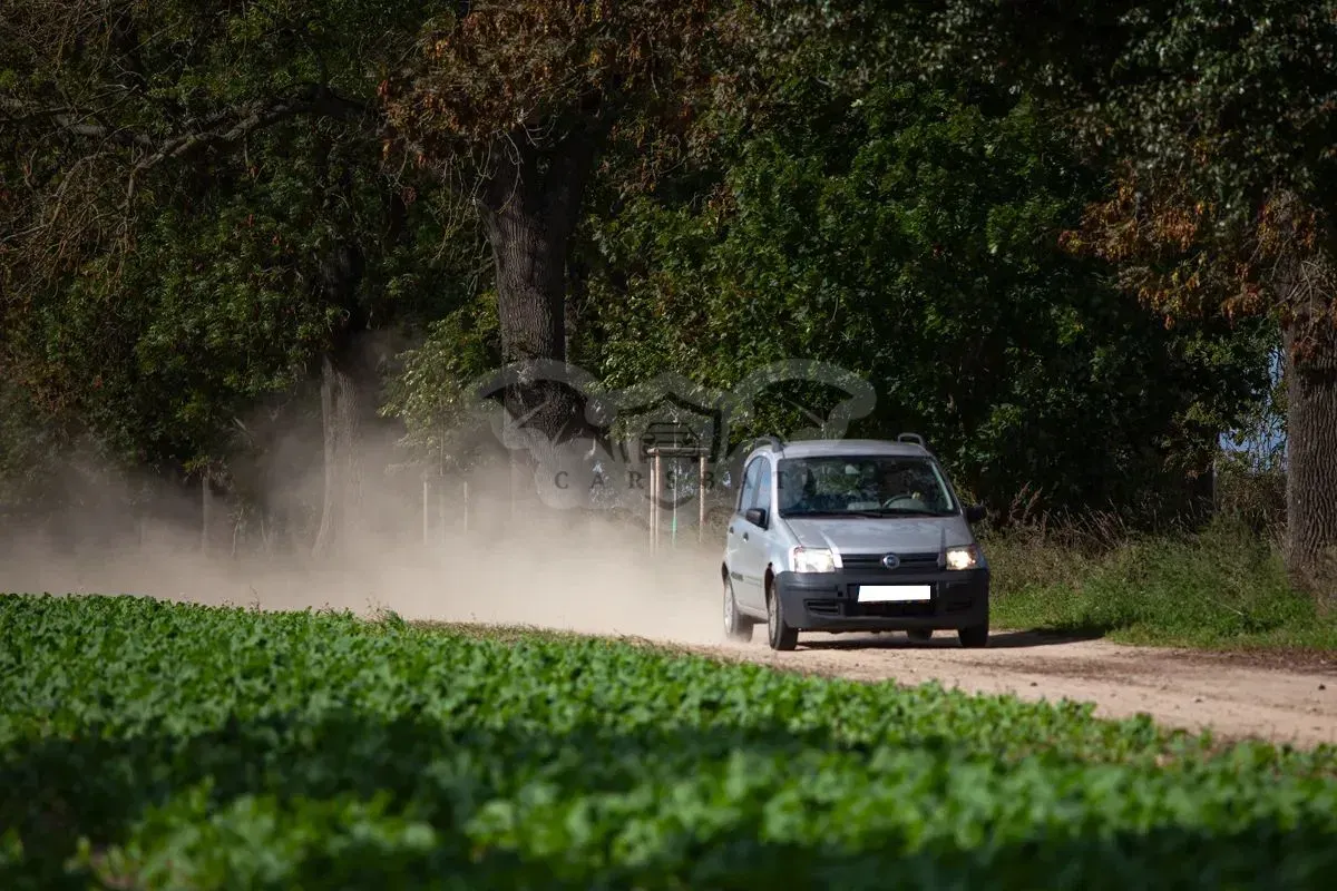 Fiat Panda II (2003-2012) 2004
