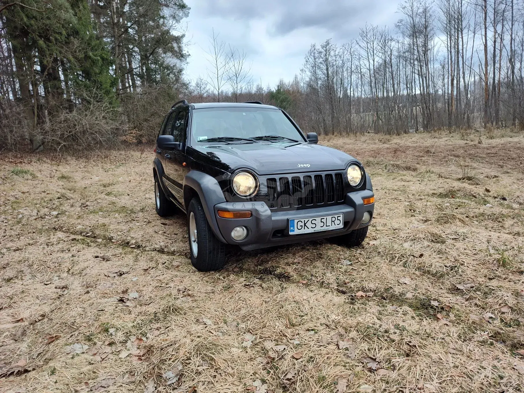Jeep Cherokee III (2001-2007) 2004