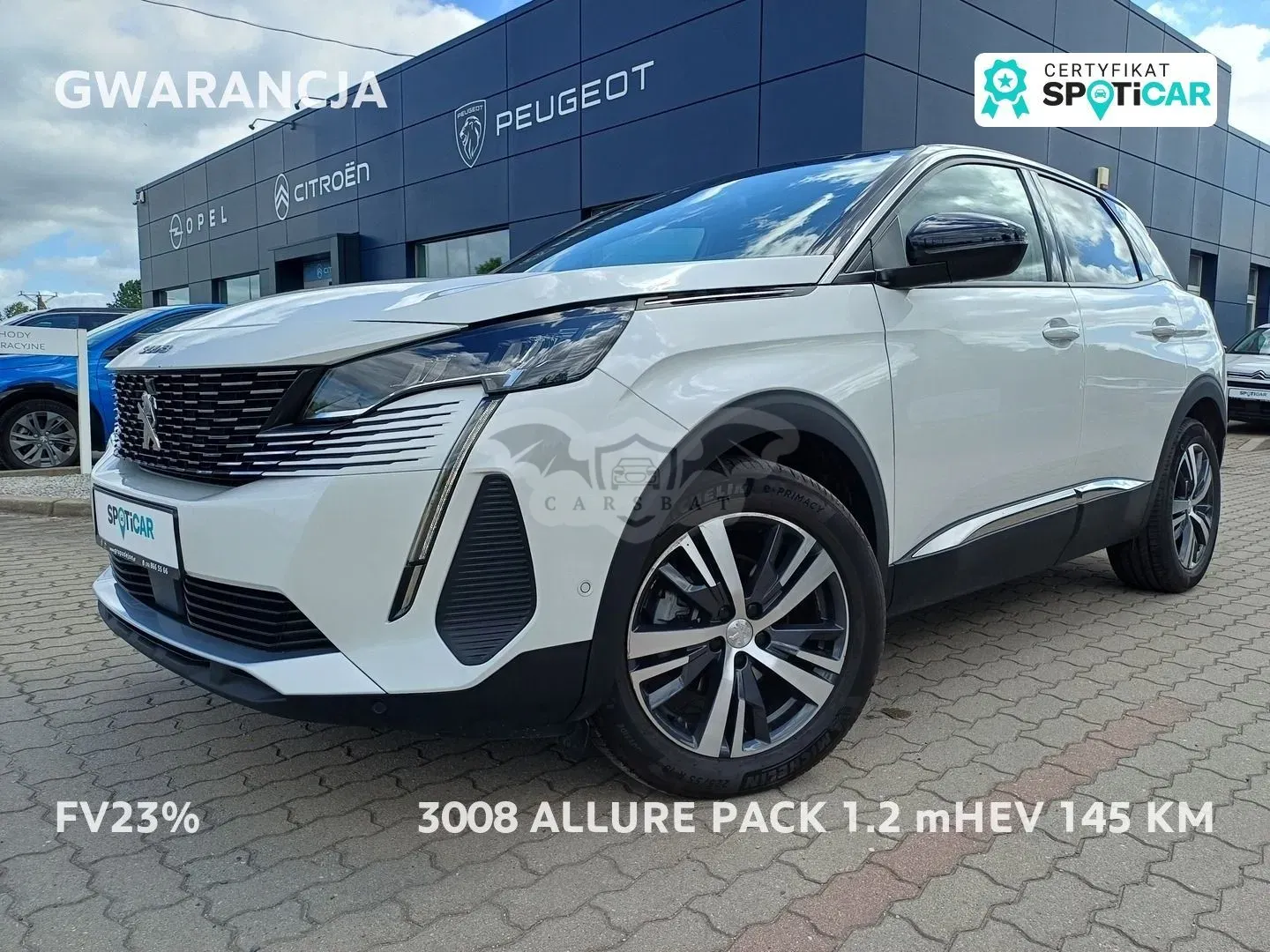 Peugeot 3008 II (2016-2024) 2023