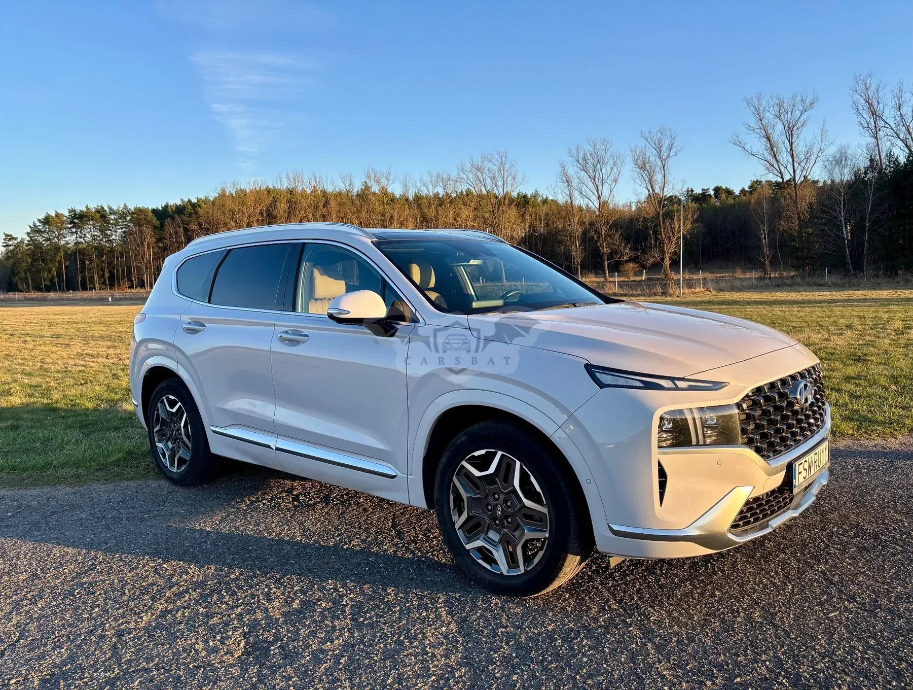 Hyundai Santa Fe V (2023-) 1.6 T-GDI HEV Platinum 4WD 7os 2023