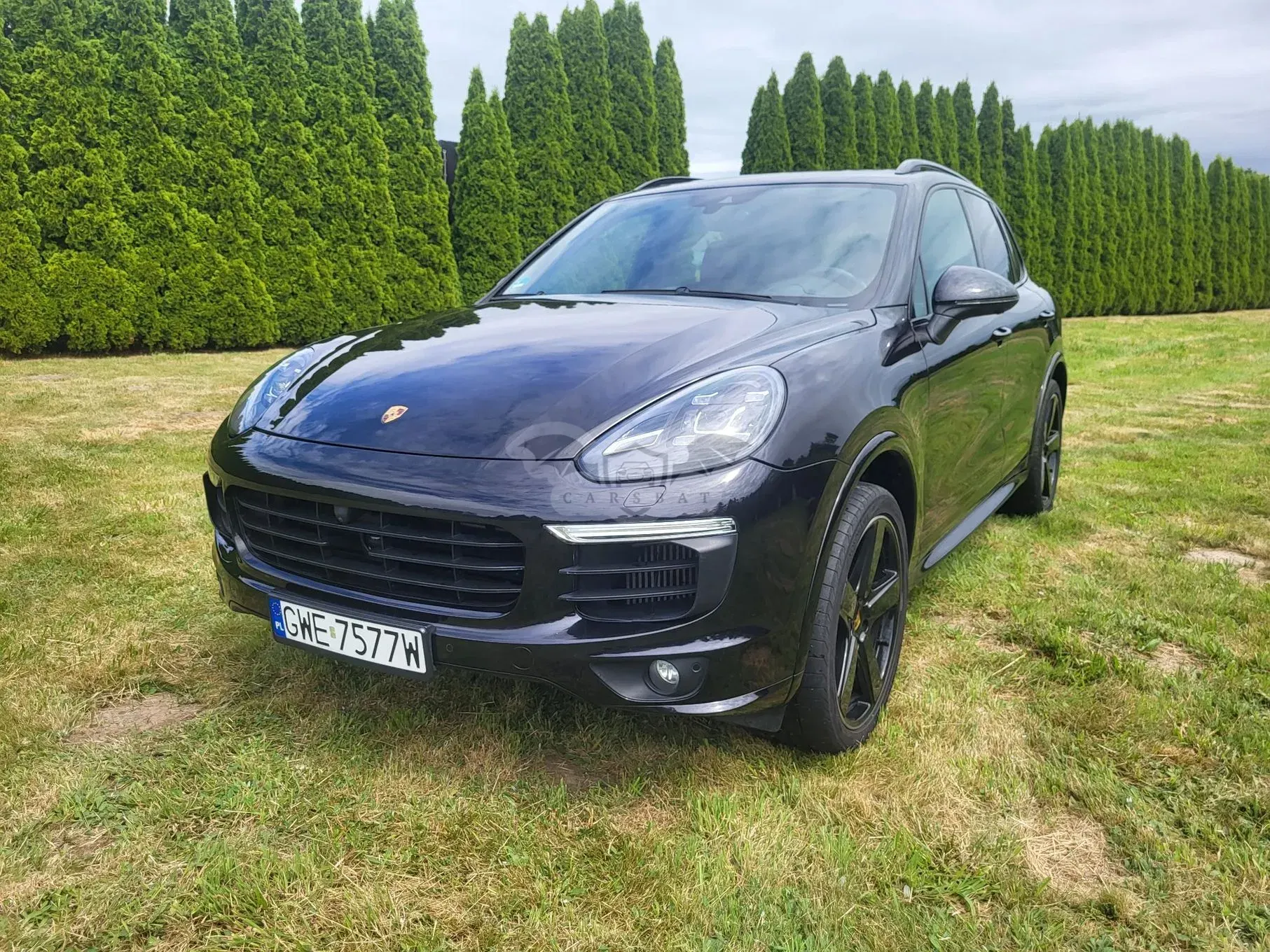 Porsche Cayenne III (2017-) Platinum Edition 2018