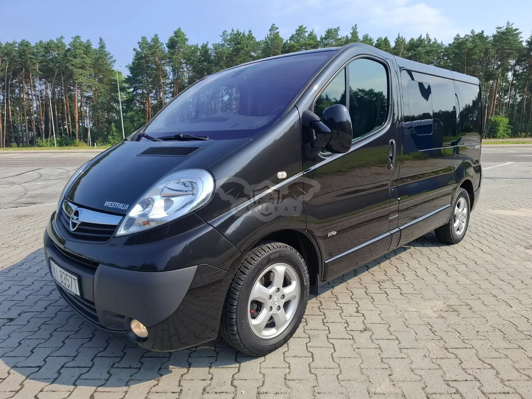 Opel Vivaro I (2001-2014) Life Cosmo L1H1 2013