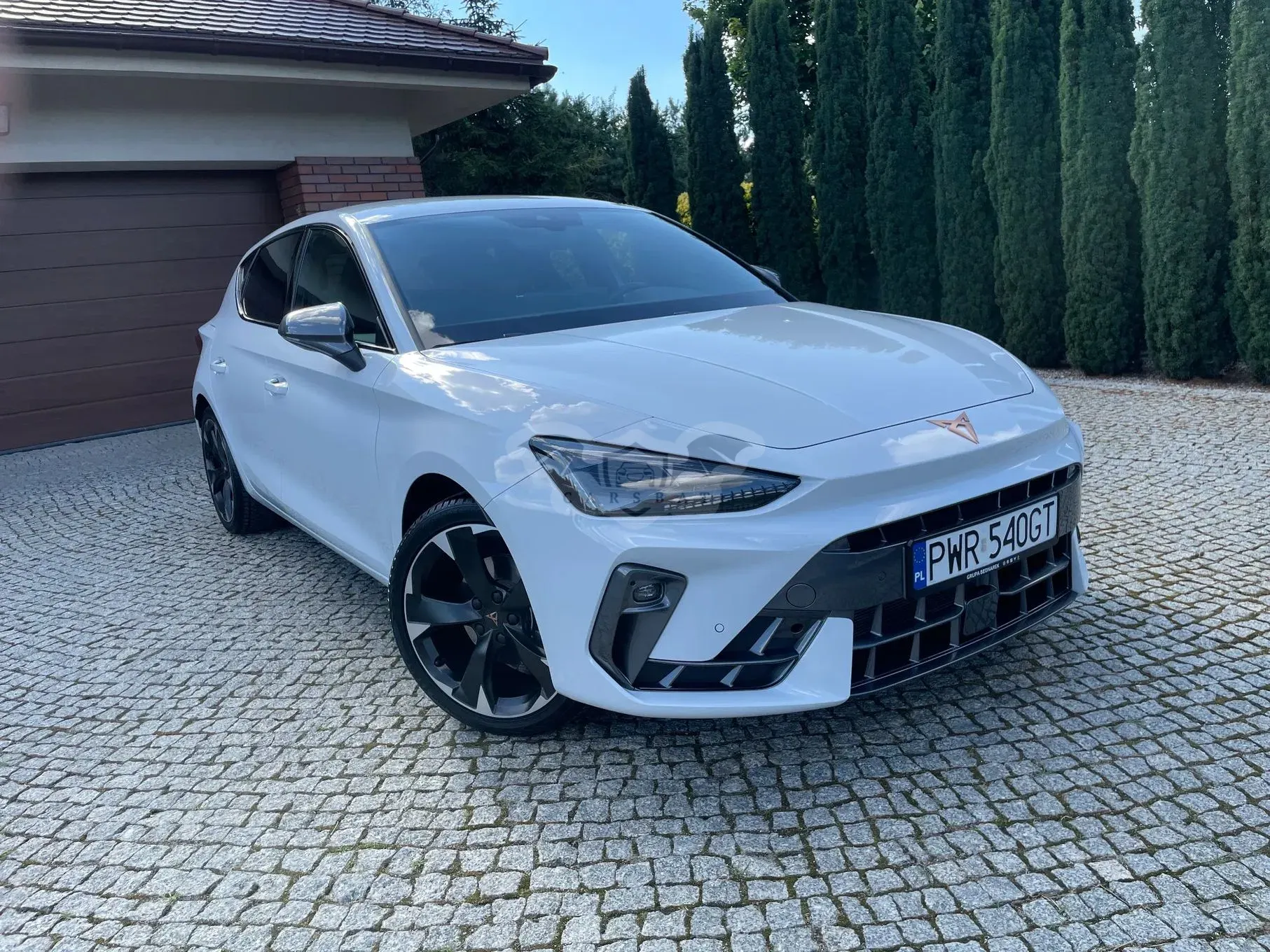 Cupra Leon 1.5 TSI 2025