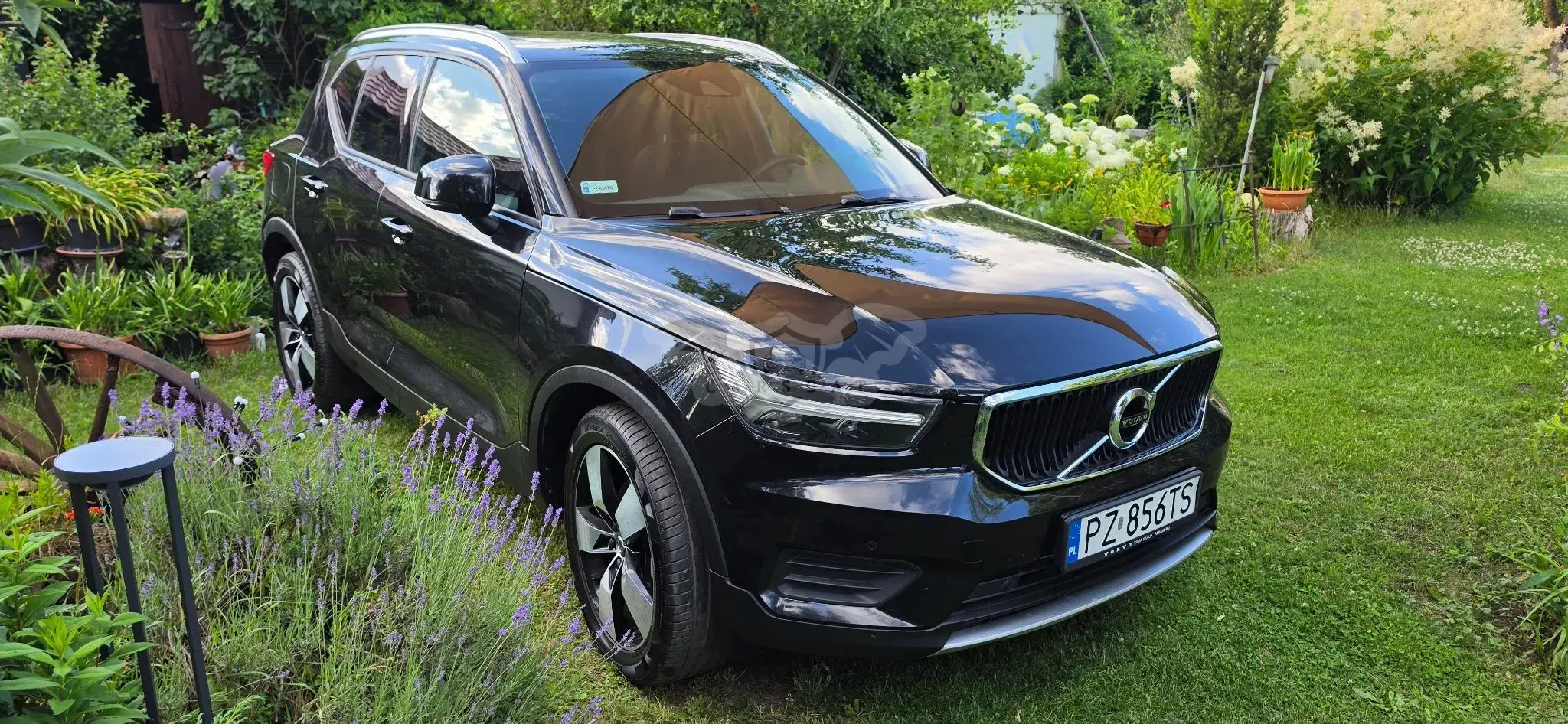 Volvo XC40 T5 AWD Momentum Pro 2019