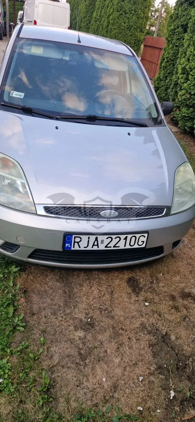 Ford Fiesta Mk6 (2002-2008) 1.4 Ambiente 2002