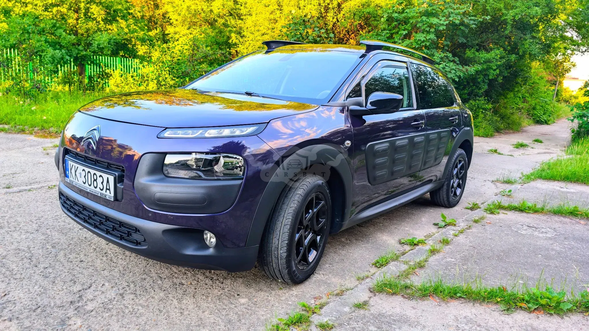 Citroën C4 Cactus 1.2 PureTech Shine S&S ETG 2017