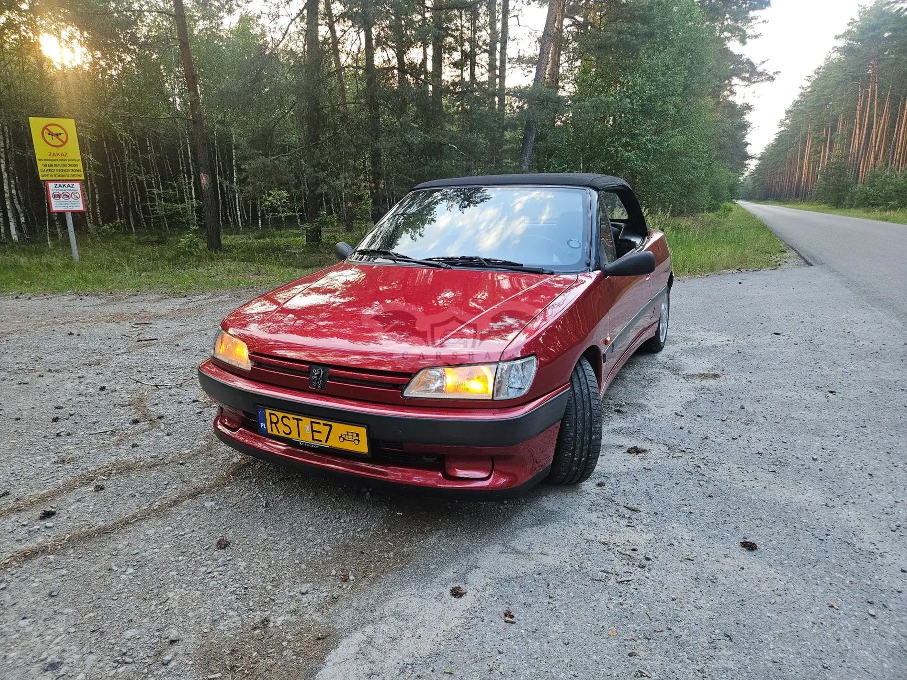 Peugeot 306 1994