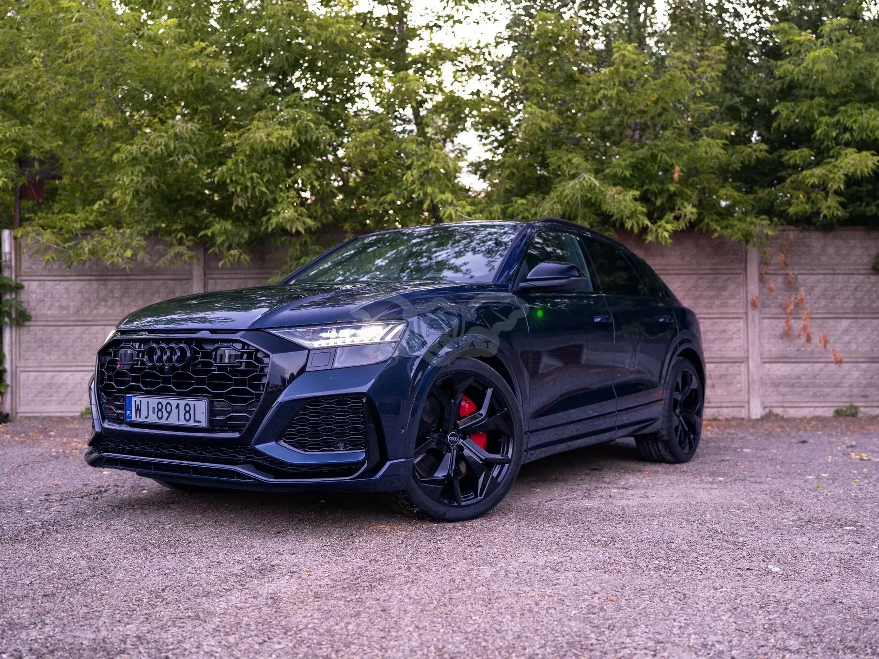 Audi RSQ8 TFSI mHEV Quattro Tiptronic 2023