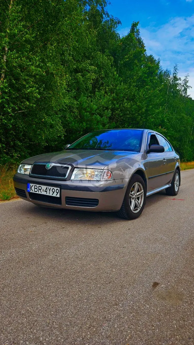 Skoda Octavia I (1996-2011) 1.6 Tour 2010