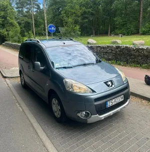 Peugeot Partner II (2008-2019) 1.6 HDi Presence 2008