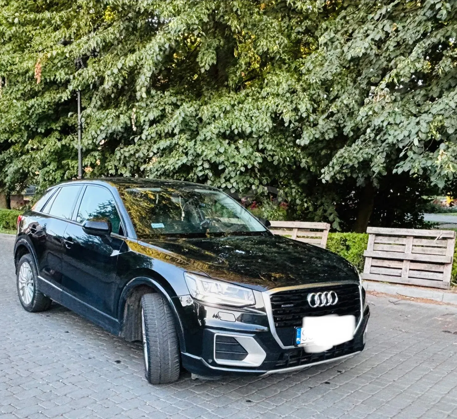 Audi Q2 2.0 TDI Quattro S tronic design 2017