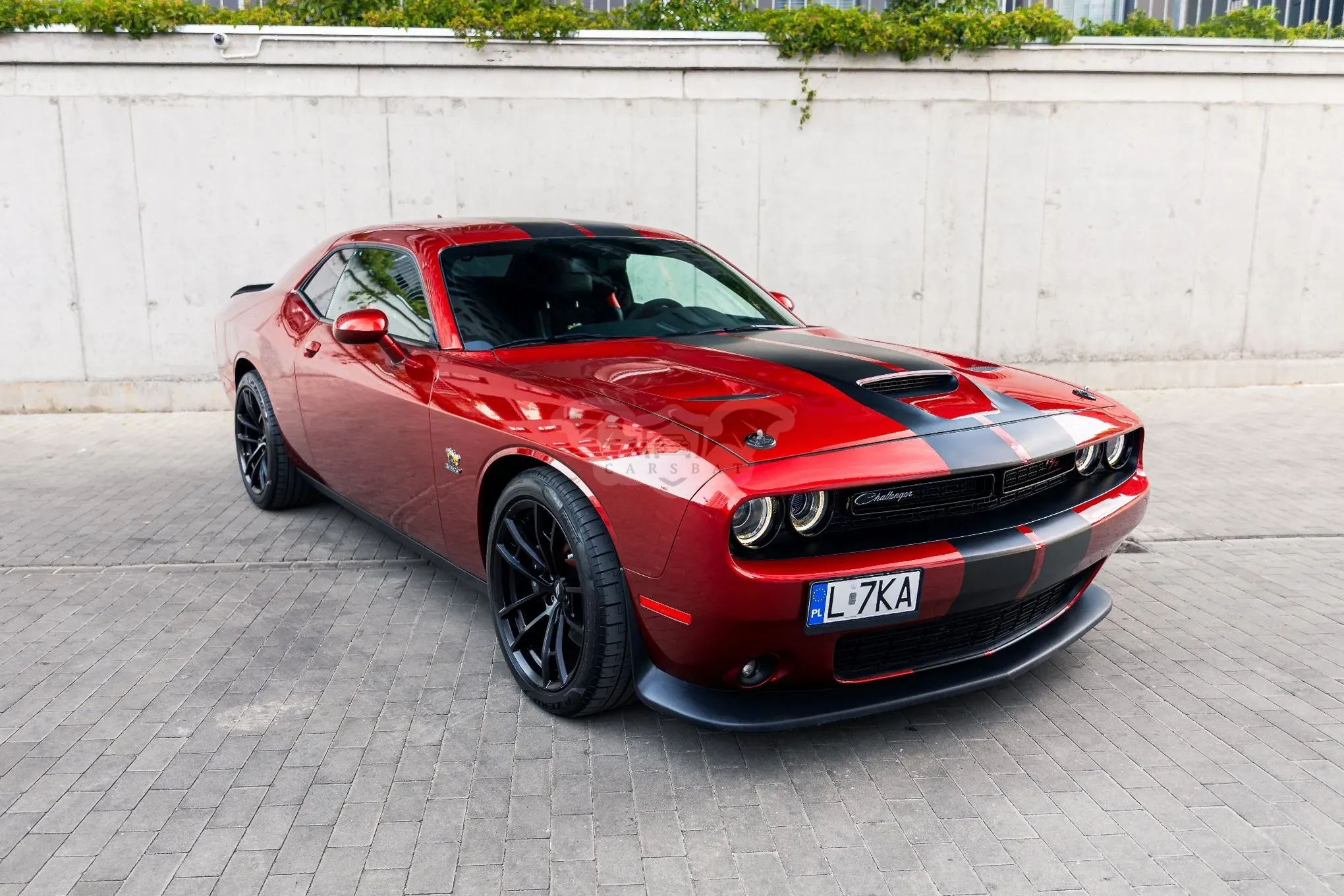 Dodge Challenger 6.4 Scat Pack 2020
