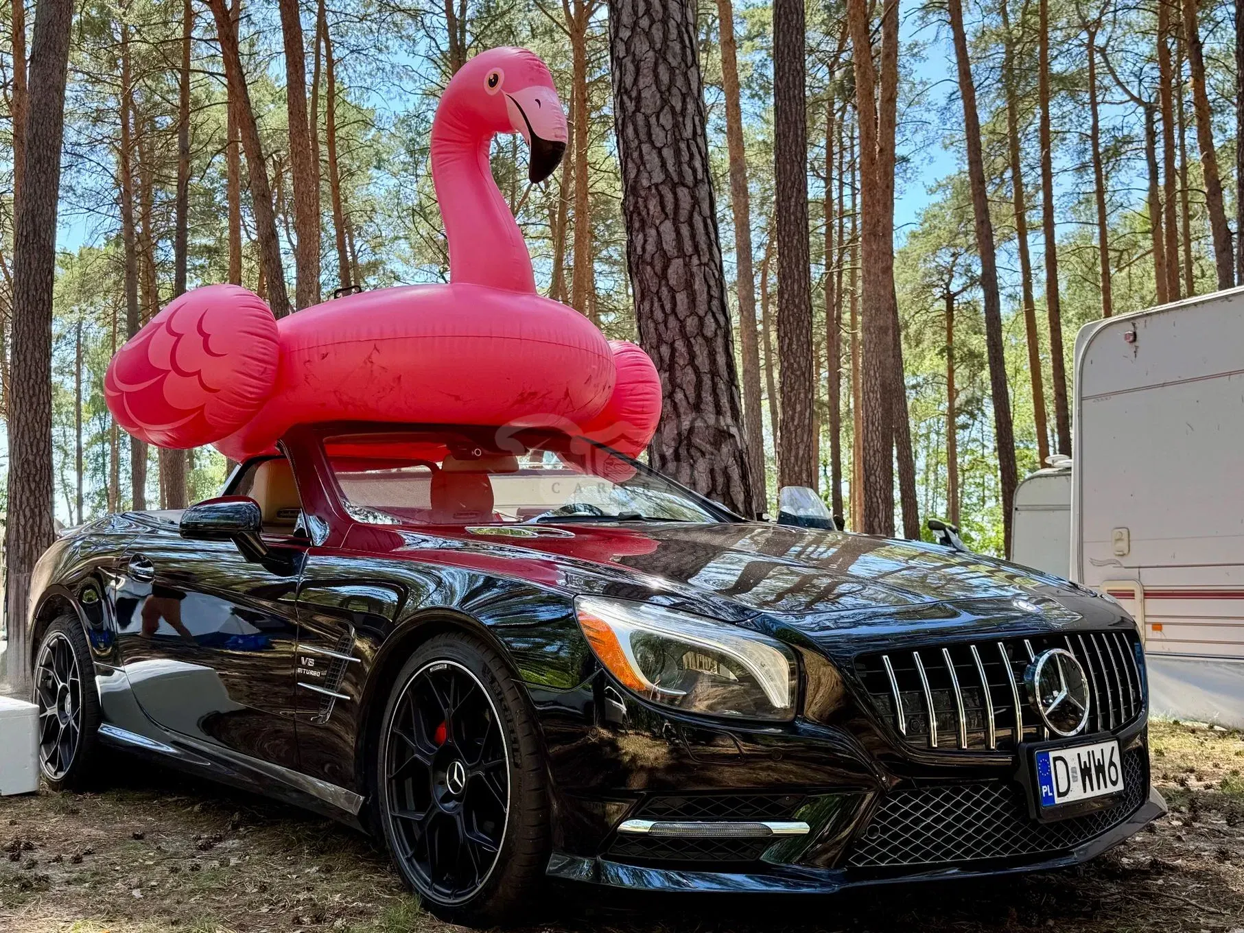 Mercedes-Benz SL R231 (2012-2020) 500 BlueEff 2012