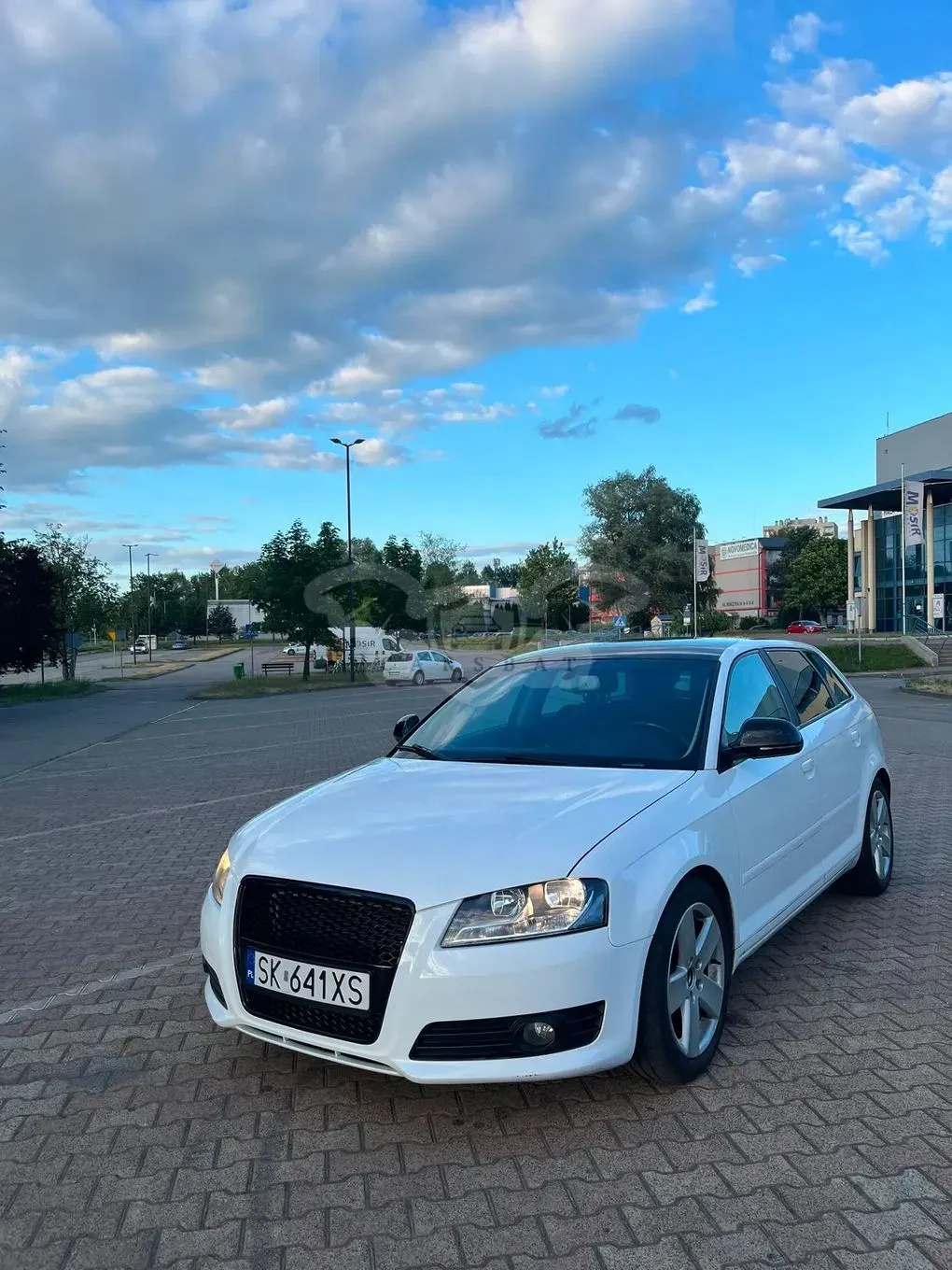 Audi A3 8P (2003-2012) 1.9 TDI DPF S tronic Ambiente 2009