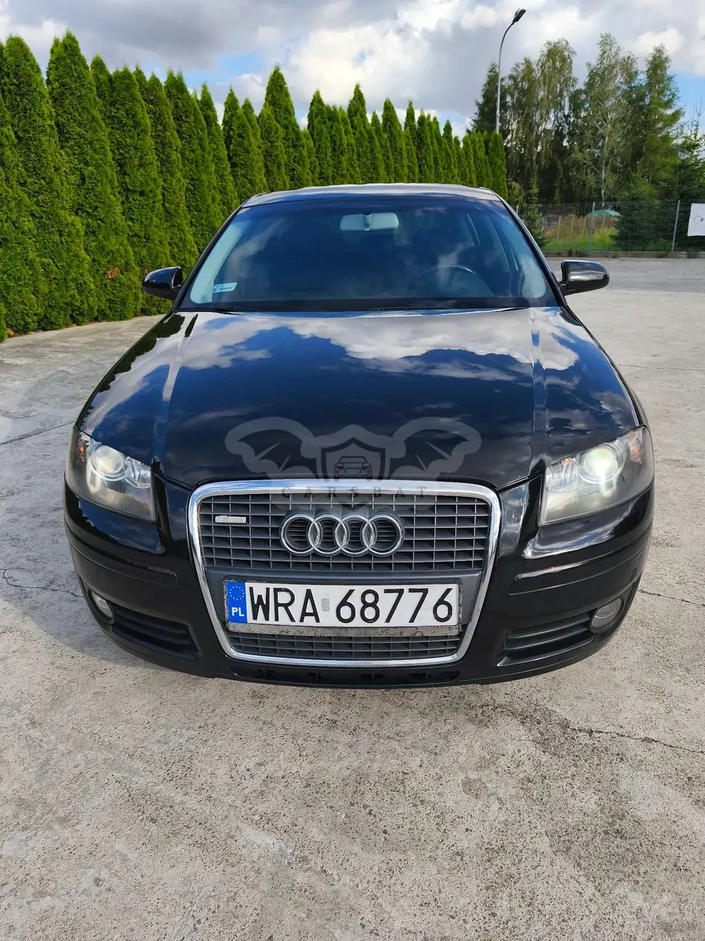 Audi A3 8P (2003-2012) 2005