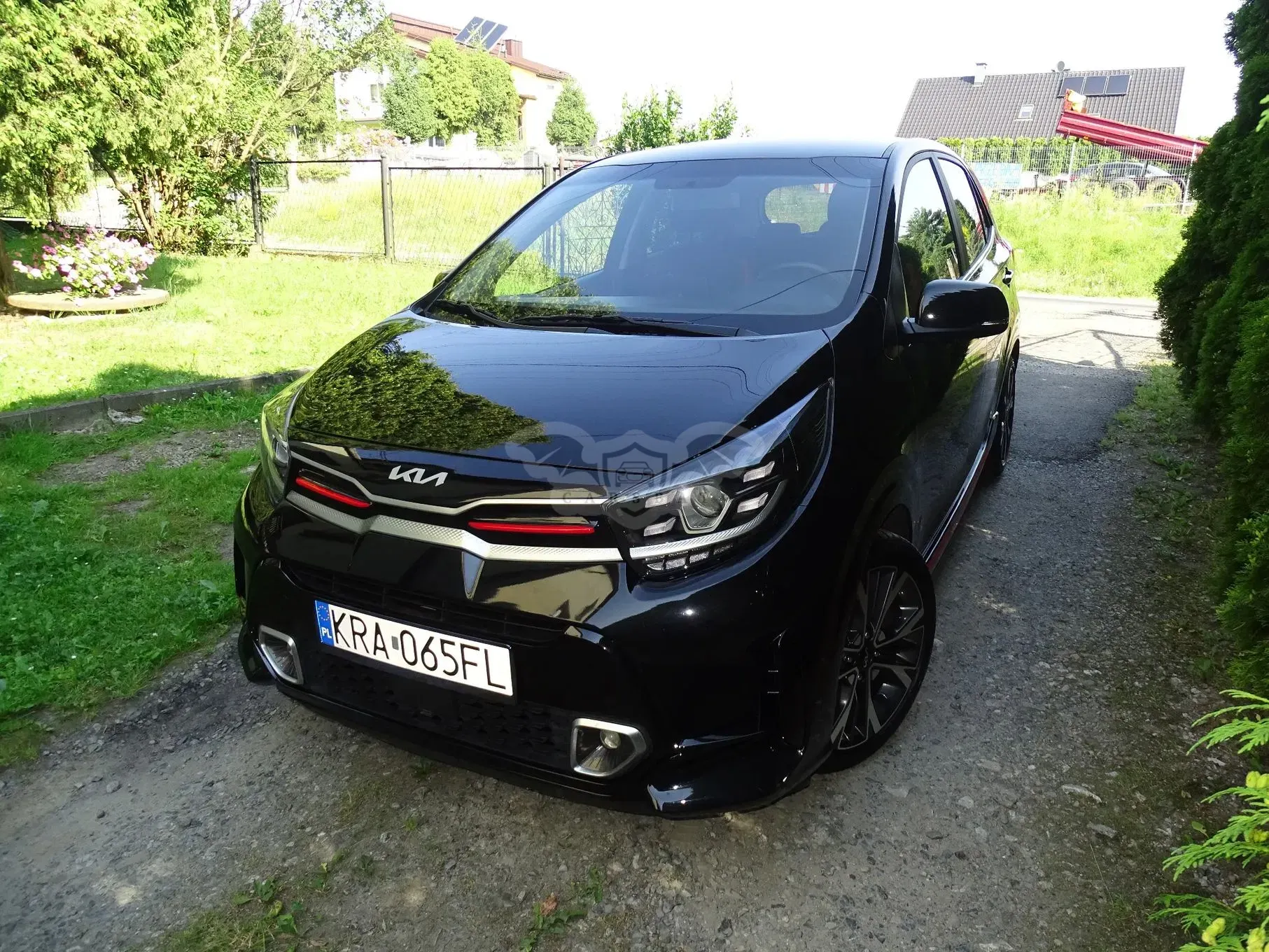 Kia Picanto (Morning) III (2017-) 1.2 Automatik GT Line 2022