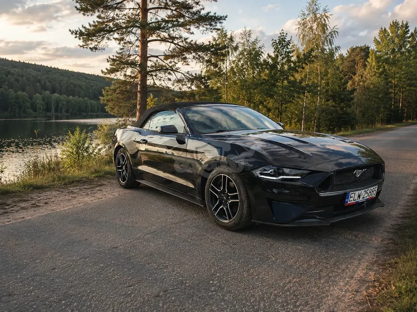 Ford Mustang 2.3 EcoBoost 2021