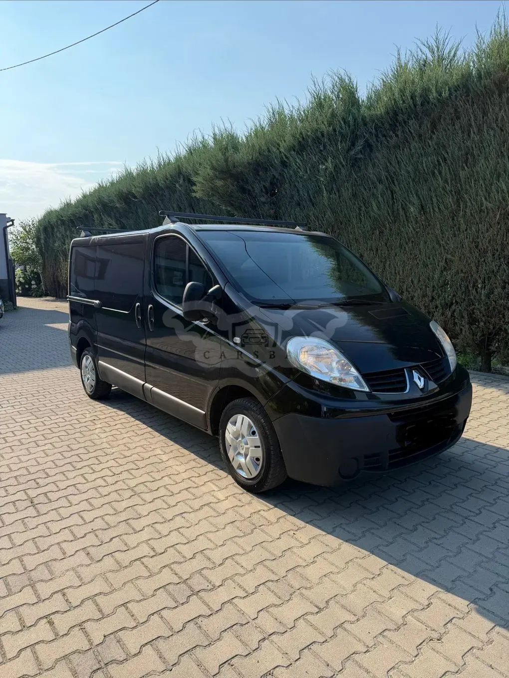 Renault Trafic II (2001-2014) 2009