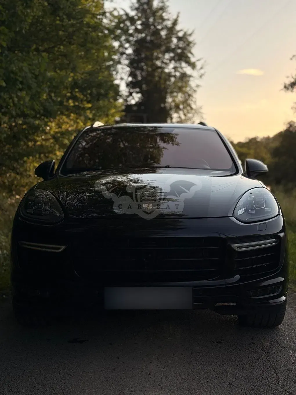 Porsche Cayenne II (2010-2017) Turbo 2015