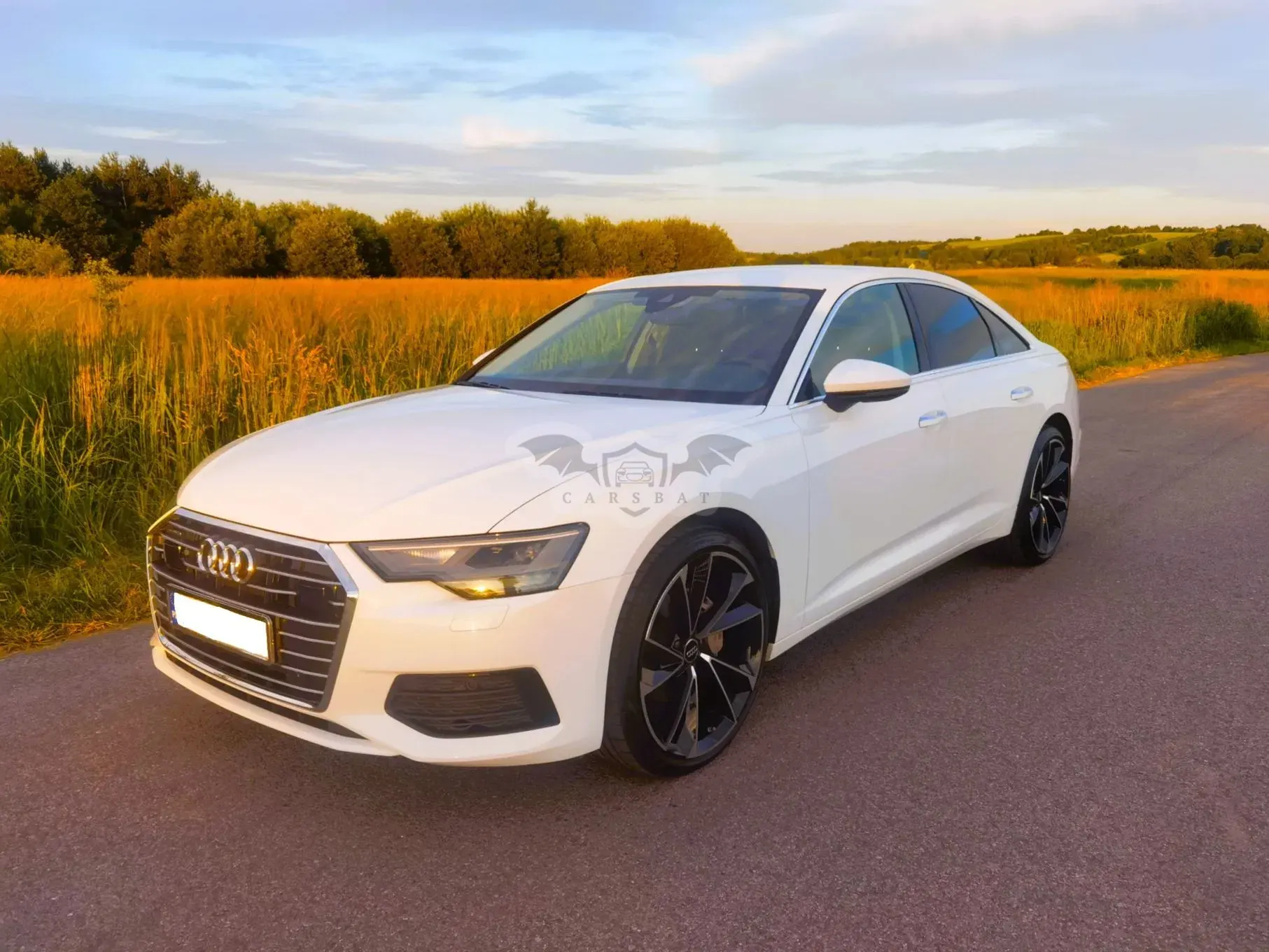 Audi A6 C8 (2019-2025) 40 TDI quattro S tronic 2019