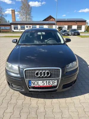 Audi A3 8P (2003-2012) 1.9 TDI Ambiente 2005