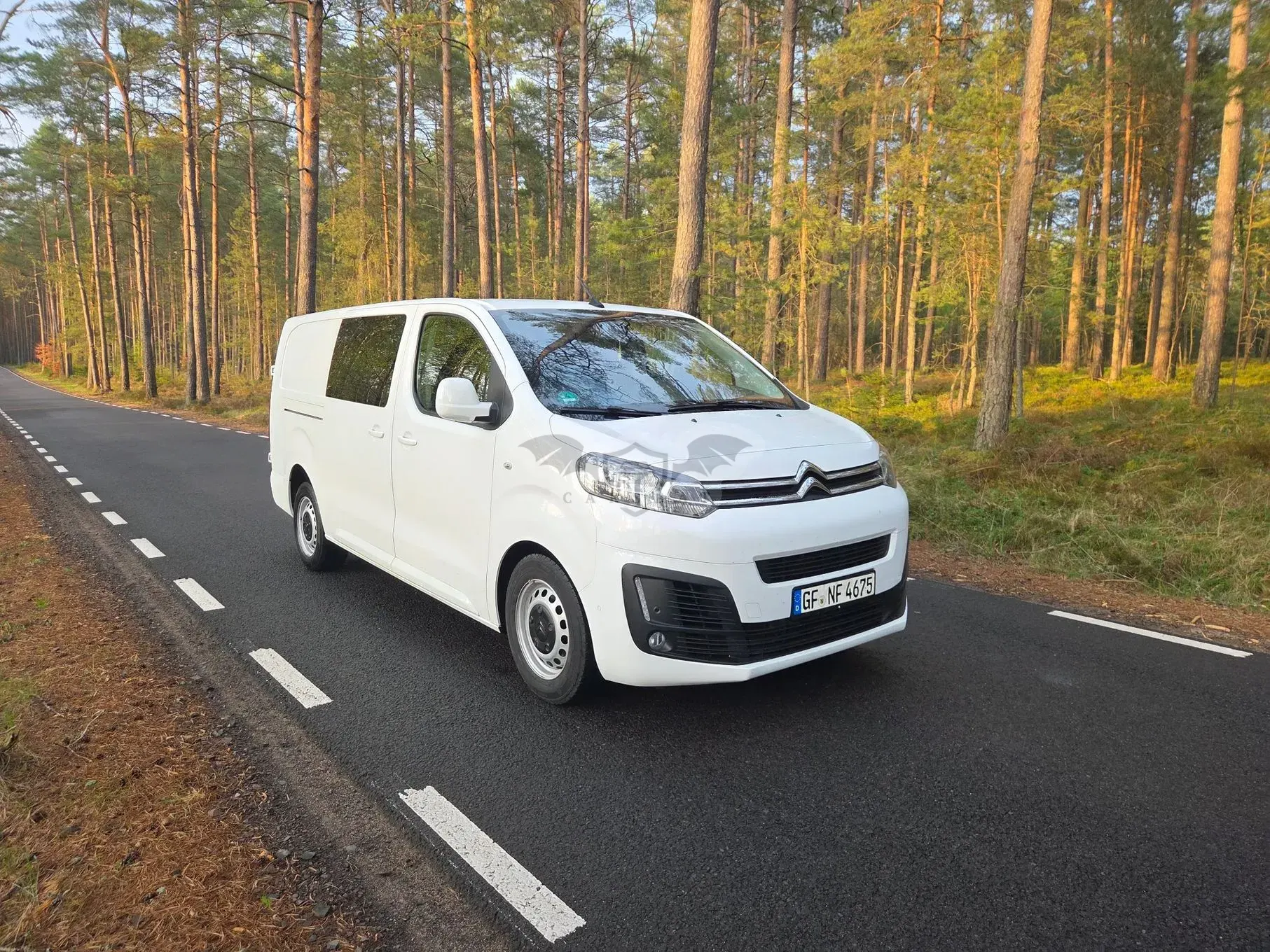 Citroën Jumpy III (2016-) M 120 Driver 2017
