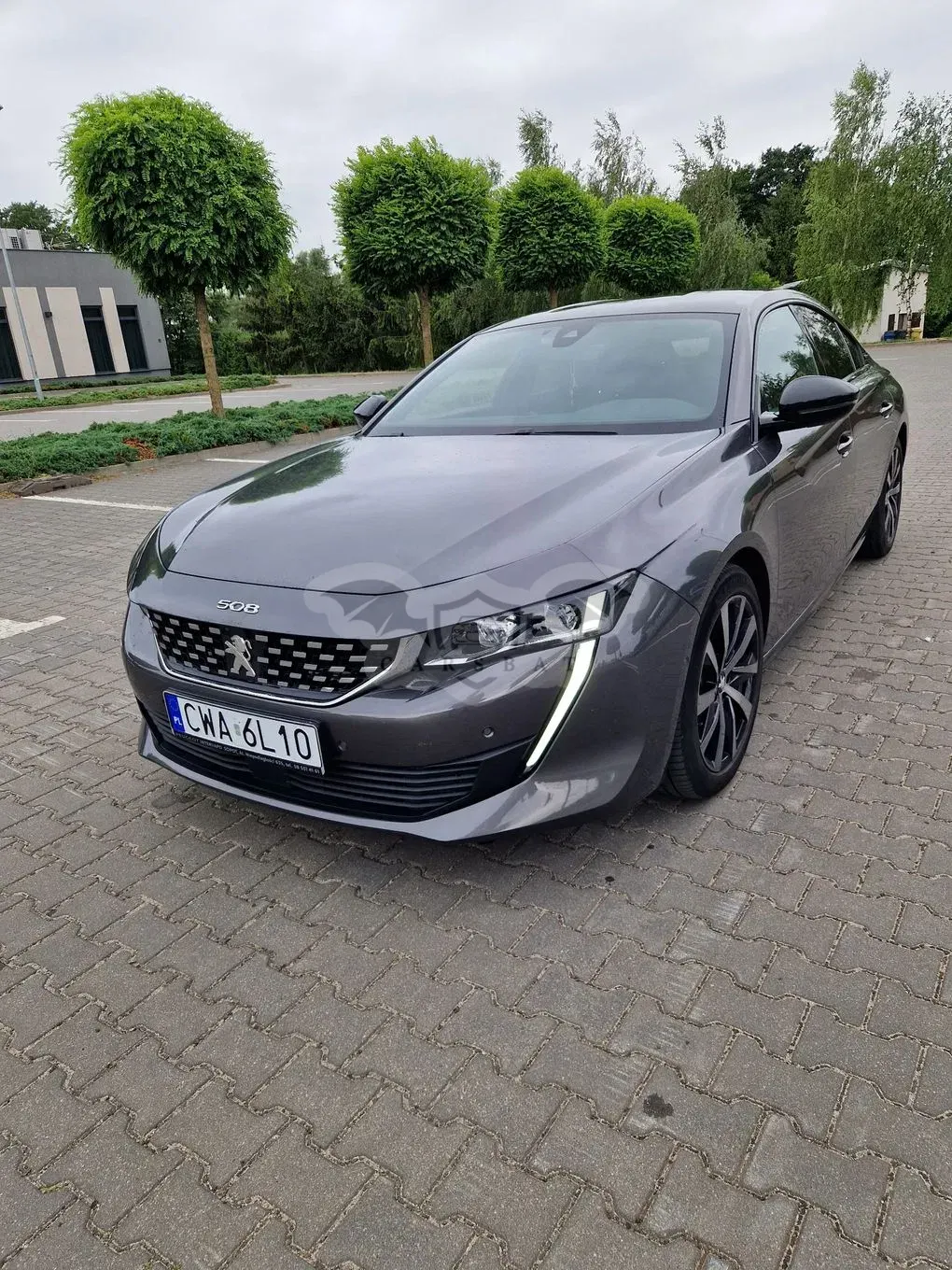 Peugeot 508 II (2018- ) 2.0 BlueHDi GT Line S&S EAT8 2019