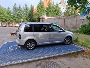 Volkswagen Touran I (2003-2010) 1.9 TDI Freestyle 2010