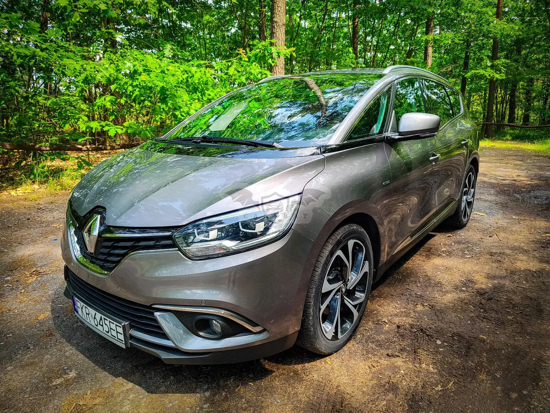 Renault Scenic IV (2016-) 1.6 dCi Bose EDC 2017