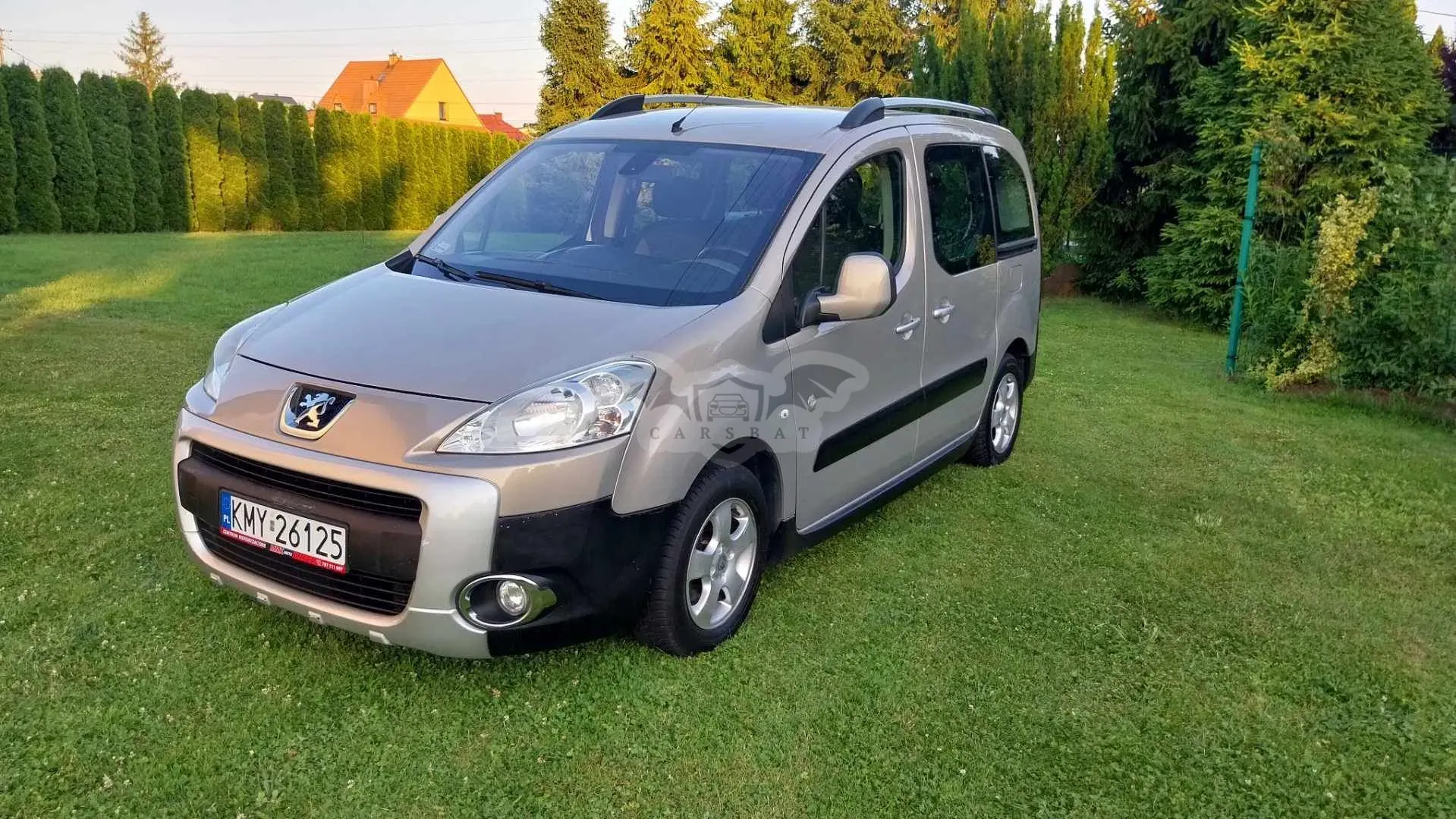 Peugeot Partner II (2008-2019) 2009
