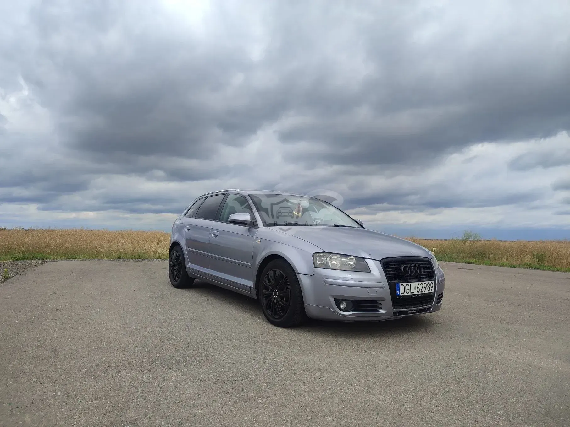 Audi A3 8P (2003-2012) 2.0 TDI DPF Ambiente 2006