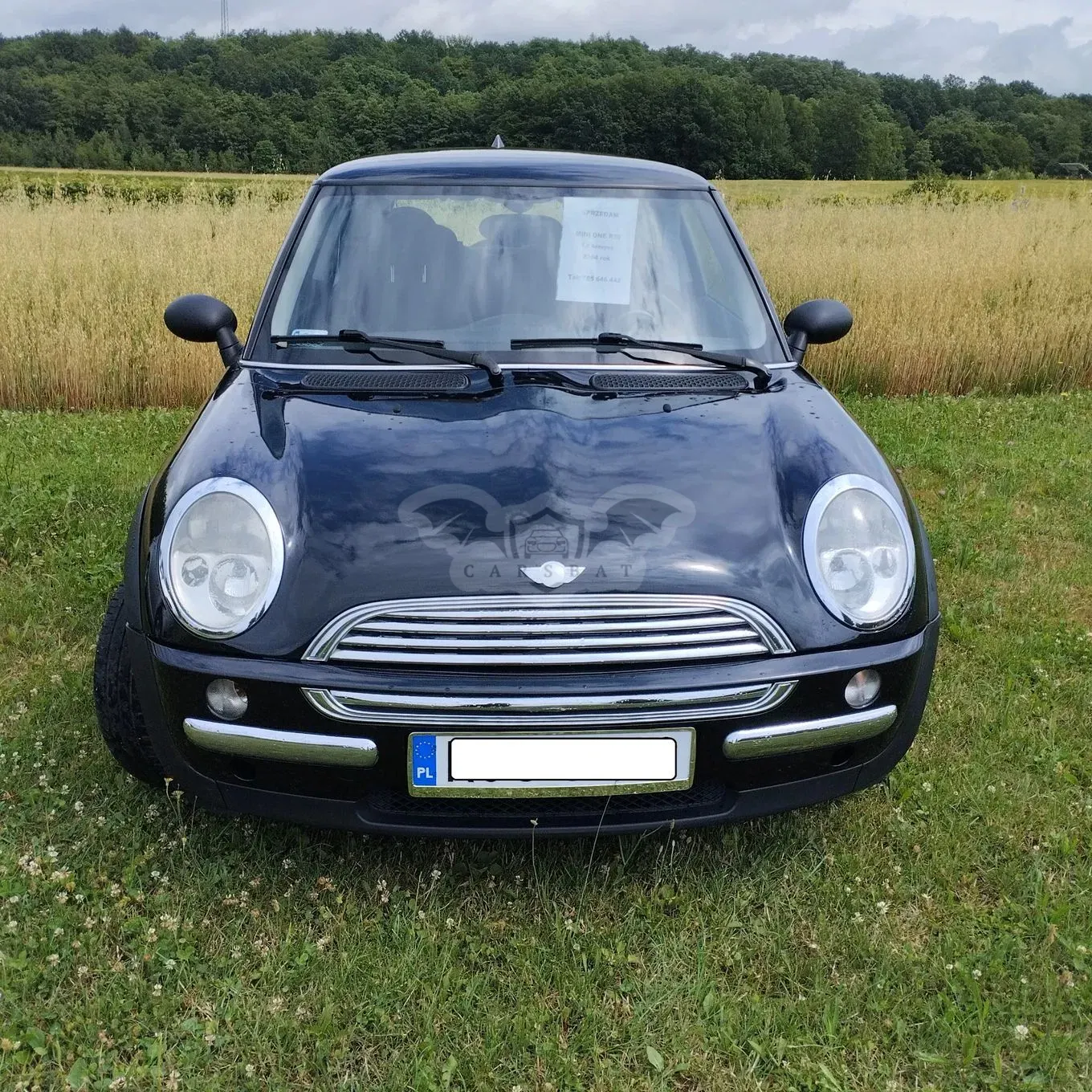 Mini One 2004